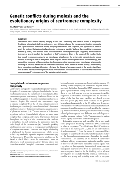 Genetic conflicts during meiosis and the evolutionary origins