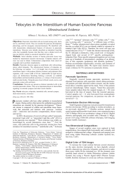 Telocytes in the Interstitium of Human Exocrine Pancreas