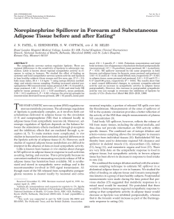 Norepinephrine Spillover in Forearm and Subcutaneous Adipose