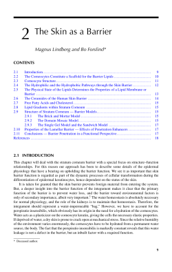 The Skin as a Barrier - Scientific Spectator