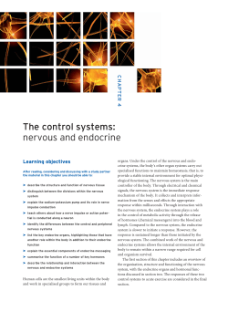 The control systems: nervous and endocrine