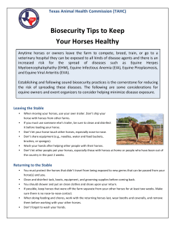 (TAHC) Biosecurity Tips to Keep Your Horses Healthy