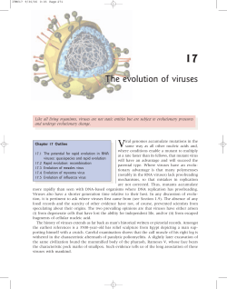 The evolution of viruses