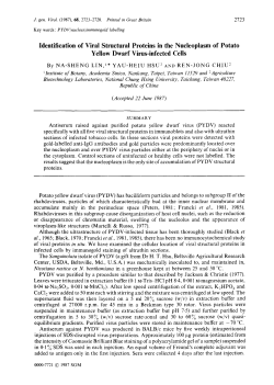 Identification of Viral Structural Proteins in the Nucleoplasm of