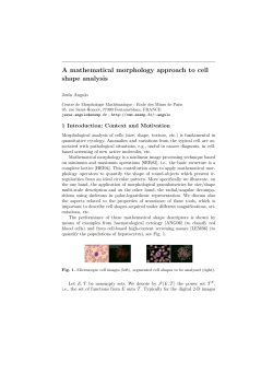 A mathematical morphology approach to cell shape analysis