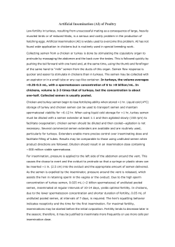 Artificial Insemination (AI) of Poultry