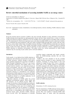 Review: microbial mechanisms of accessing insoluble Fe(III) as an