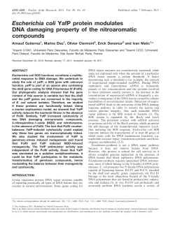 Escherichia coli YafP protein modulates DNA damaging property of