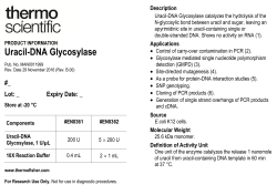 Uracil-DNA Glycosylase - Thermo Fisher Scientific