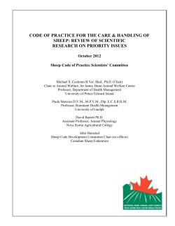 Sheep SC report OCT 2012 - National Farm Animal Care Council