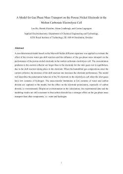 A Model for Gas Phase Mass Transport on the Porous Nickel