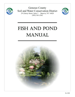 Fish And Pond Manual 2010