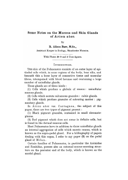 Some Notes on the Mucous and Skin Glands of Arion ater.