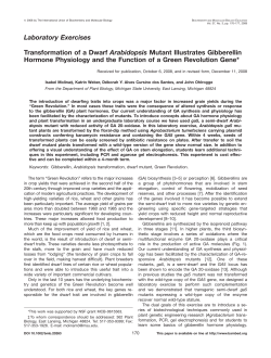Transformation of a dwarf Arabidopsis mutant illustrates gibberellin