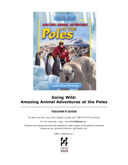 Going Wild: Amazing Animal Adventures at the Poles
