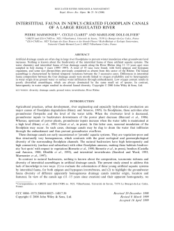 interstitial fauna in newly-created floodplain canals of a large