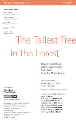 The Tallest Tree in the Forest