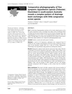 Comparative phylogeography of five sympatric Hypseleotris species