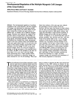 Developmental Regulation of the Multiple Myogenic Cell Lineages