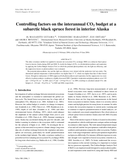 Controlling factors on the interannual CO2 budget at a
