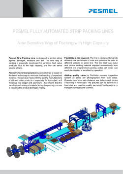 PESMEL FULLY AUTOMATED STRIP PACKING LINES