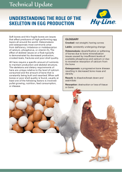 Understanding the Role of the Skeleton in Egg Production - Hy