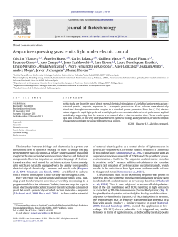 Aequorin-expressing yeast emits light under electric control