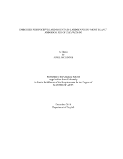 Embodied Perspectives and Mountain-Landscapes in