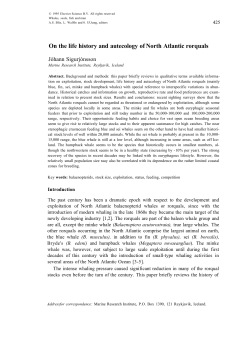 On the life history and autecology of North Atlantic rorquals