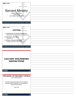 what is servant ministry?