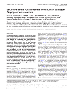 Structure of the 70S ribosome from human