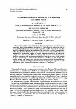 A Maximal Predictive Classification of Klebsielleae and of the Yeasts