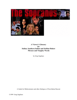 The Sopranos: A Viewer`s Glossary