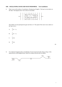 E08. OSCILLATIONS, WAVES AND WAVE PHENOMENA Test