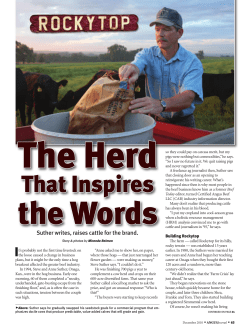 Steve Suther - Angus Journal