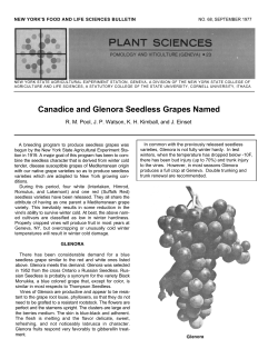 Canadice and Glenora Seedless Grapes Named
