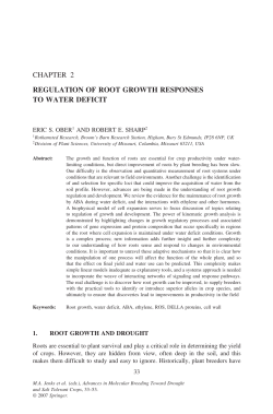 chapter 2 regulation of root growth responses to water deficit