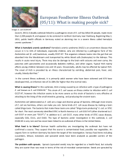 European Foodborne Illness Outbreak (05/11)