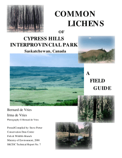 common lichens - Saskatchewan Conservation Data Centre