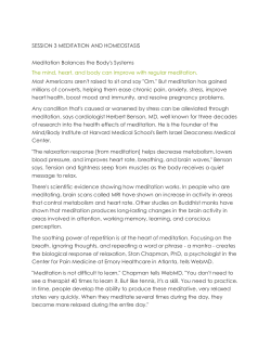 session 3 meditation and homeostasis