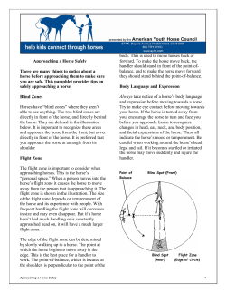 AYHC Basic Horse Safety