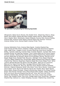 Breeds We Groom - Hair of the Dog