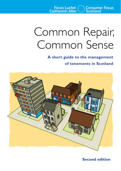 Common Repair, Common Sense
