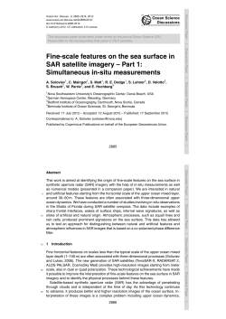 Fine-scale features on the sea surface in SAR satellite imagery
