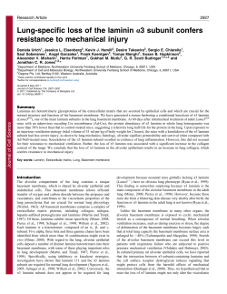 Lung-specific loss of the laminin a3 subunit confers resistance to
