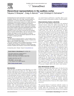 Hierarchical representations in the auditory cortex