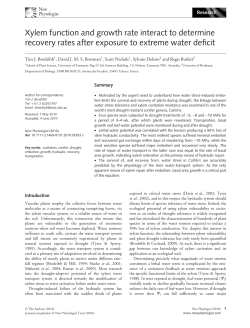 Xylem function and growth rate interact to determine recovery rates