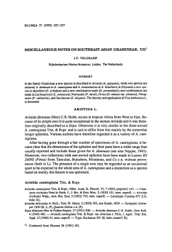 Rupr. quite exceptional mainly by longer spikelets. regarded it as