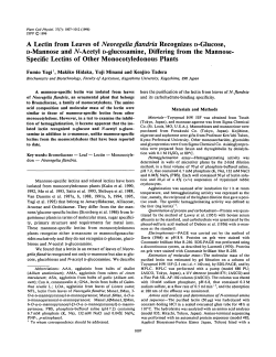 A Lectin from Leaves of Neoregelia flandria Recognizes D