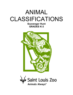 ANIMAL CLASSIFICATIONS